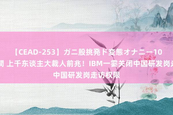 【CEAD-253】ガニ股挑発ド変態オナニー100人8時間 上千东谈主大裁人前兆！IBM一霎关闭中国研发岗走访权限